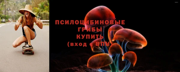 PSILOCYBIN Балахна