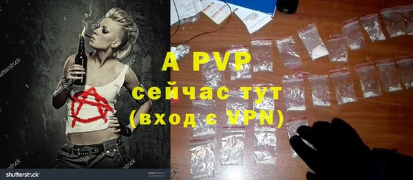 PSILOCYBIN Балахна